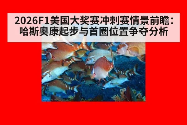 2026F1美国大奖赛冲刺赛情景前瞻：哈斯奥康起步与首圈位置争夺分析 - hth